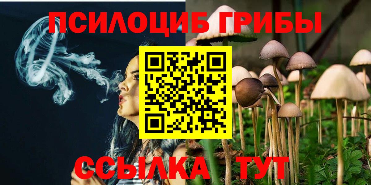 Псилоцибиновые грибы MAGIC MUSHROOMS  Вход с VPN  Галлюциногенные грибы ЛСД  наркотики  Камень-на-Оби 