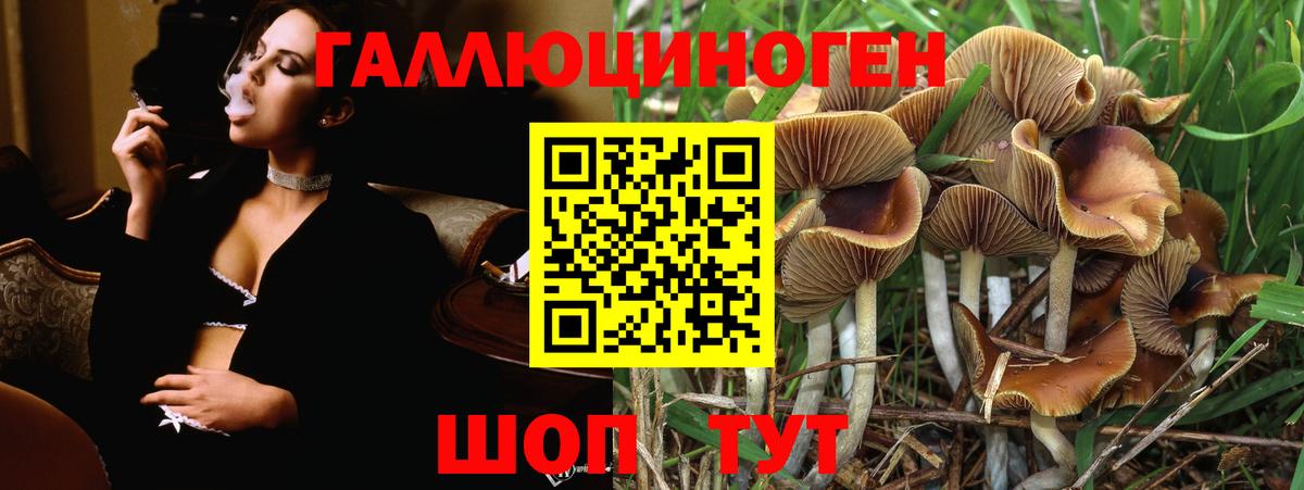 Псилоцибиновые грибы мицелий Камень-на-Оби